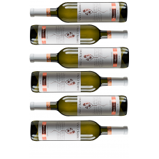 Víno z Kobylí Degustační sada vín I 